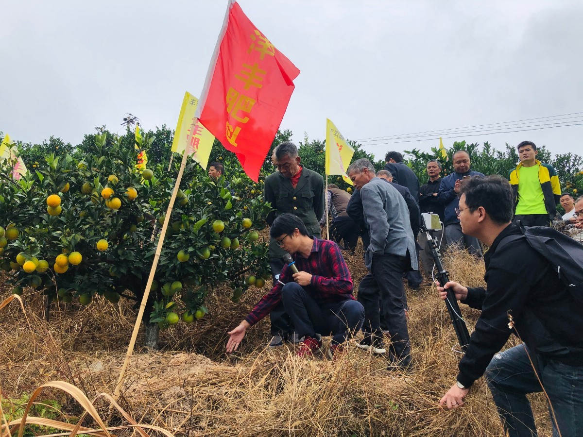 赣南脐橙王，，，，，他来啦！-新闻动态-菠菜担保网