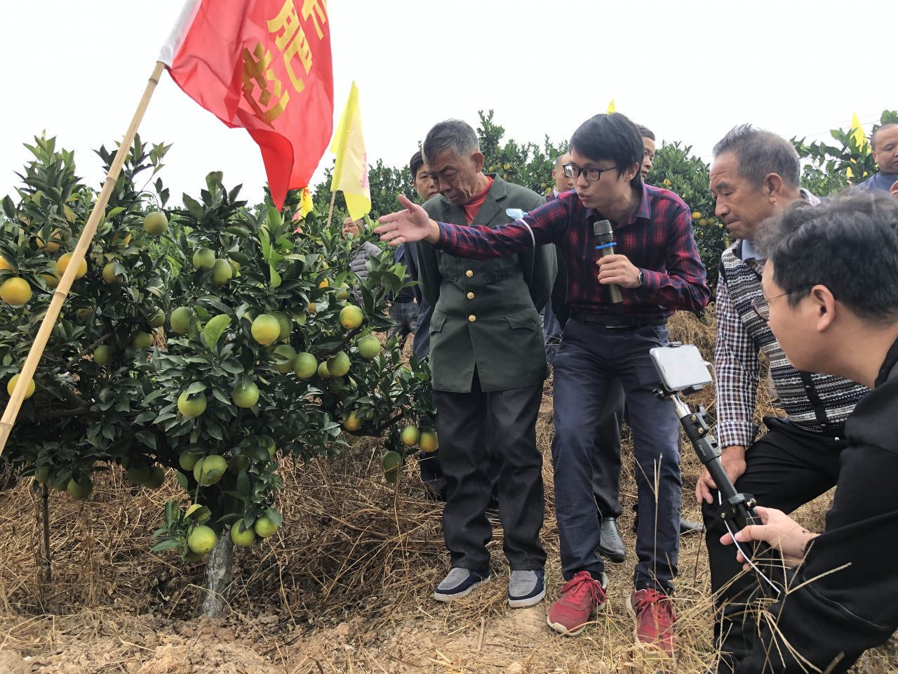 赣南脐橙王，，，，，他来啦！-新闻动态-菠菜担保网