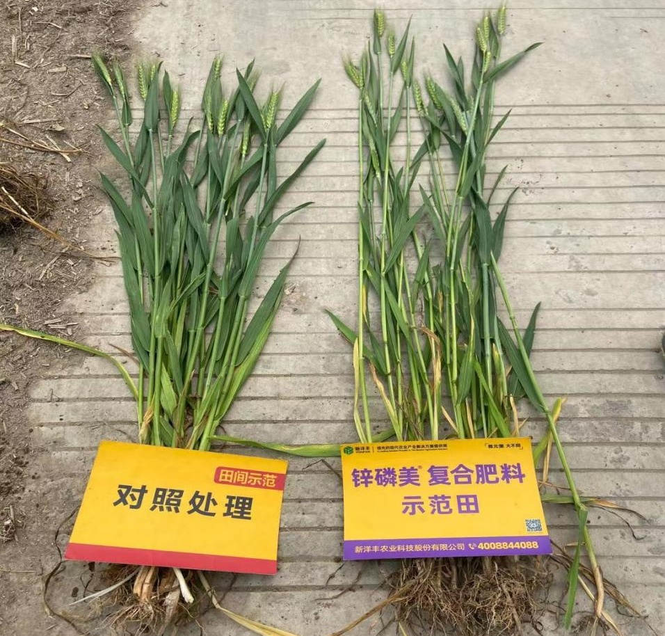 菠菜担保网-最权威的全网担保平台