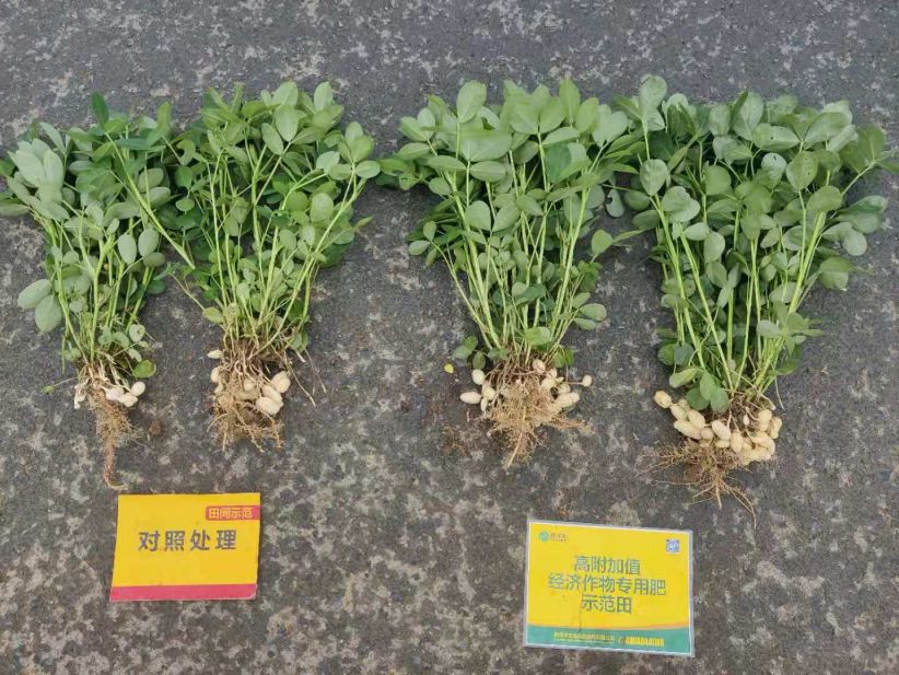 新产品+心折务，，，，，菠菜担保网躬耕祖国大地-新闻动态-菠菜担保网