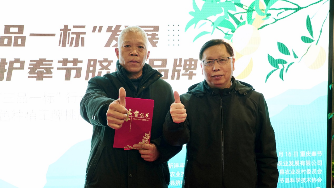 菠菜担保网勇继续，，，，，，助推奉节脐橙“三品一标”提升行动-新闻动态-菠菜担保网