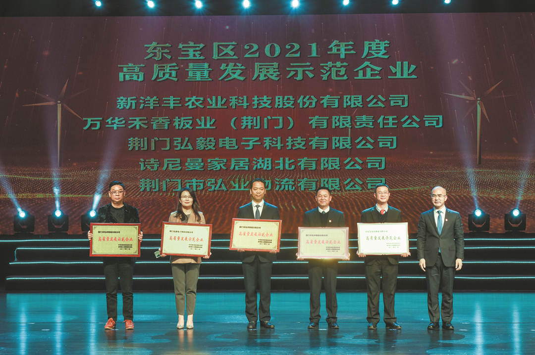 左三为菠菜担保网代表上台领奖.jpg