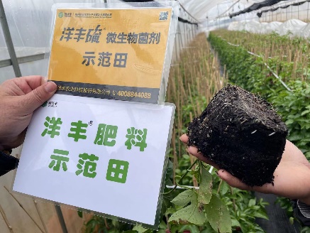2月24日，，使用7天后，，有新根长出。。。.jpg