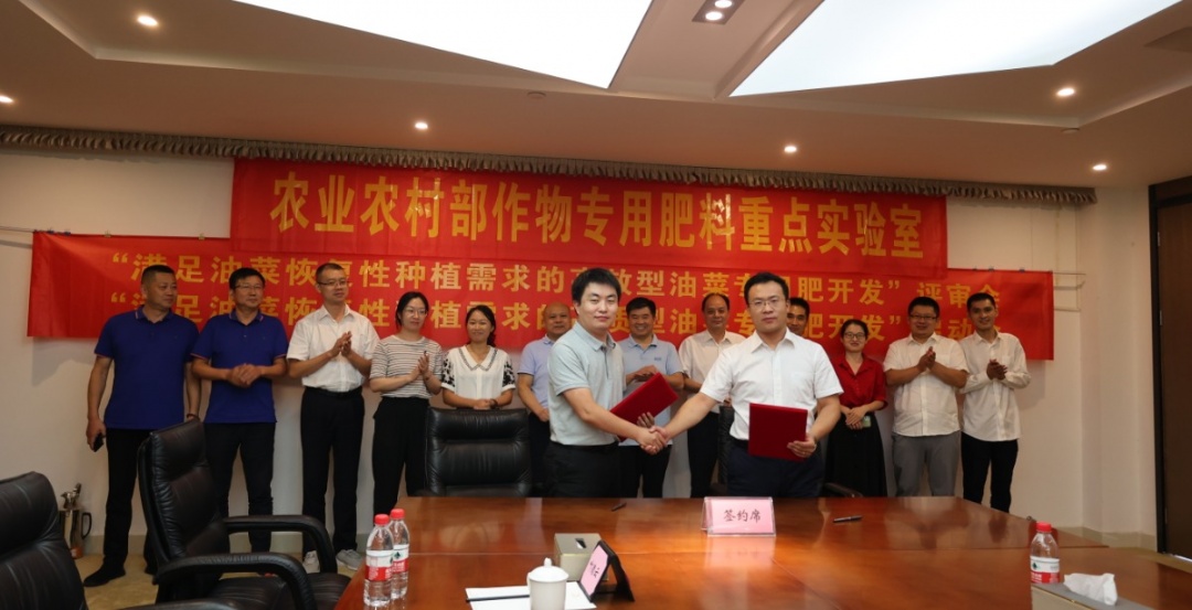 从“高效型”向“高质型”转变，，油菜专用肥开发开启新篇章-新闻动态-菠菜担保网