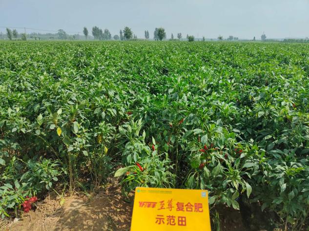 菠菜担保网-最权威的全网担保平台