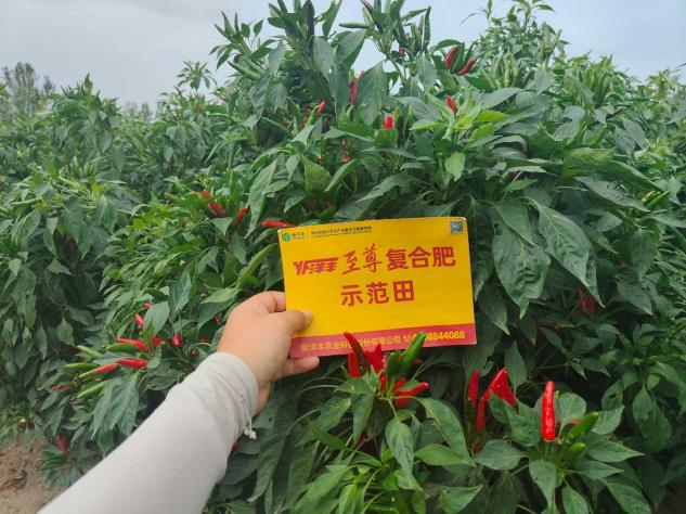 菠菜担保网-最权威的全网担保平台