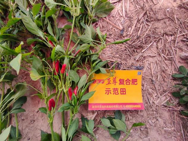 菠菜担保网-最权威的全网担保平台