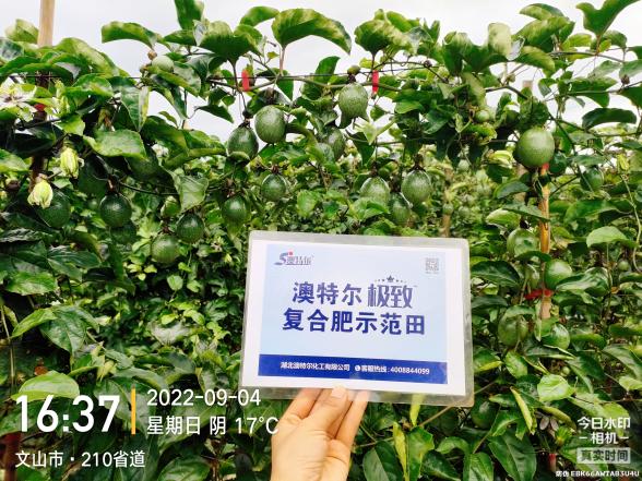 菠菜担保网-最权威的全网担保平台