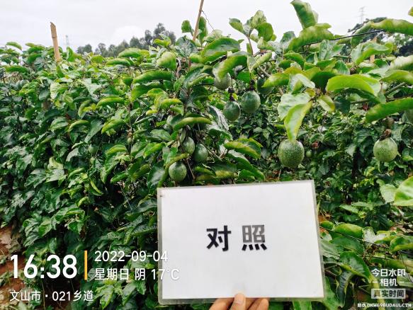 菠菜担保网-最权威的全网担保平台