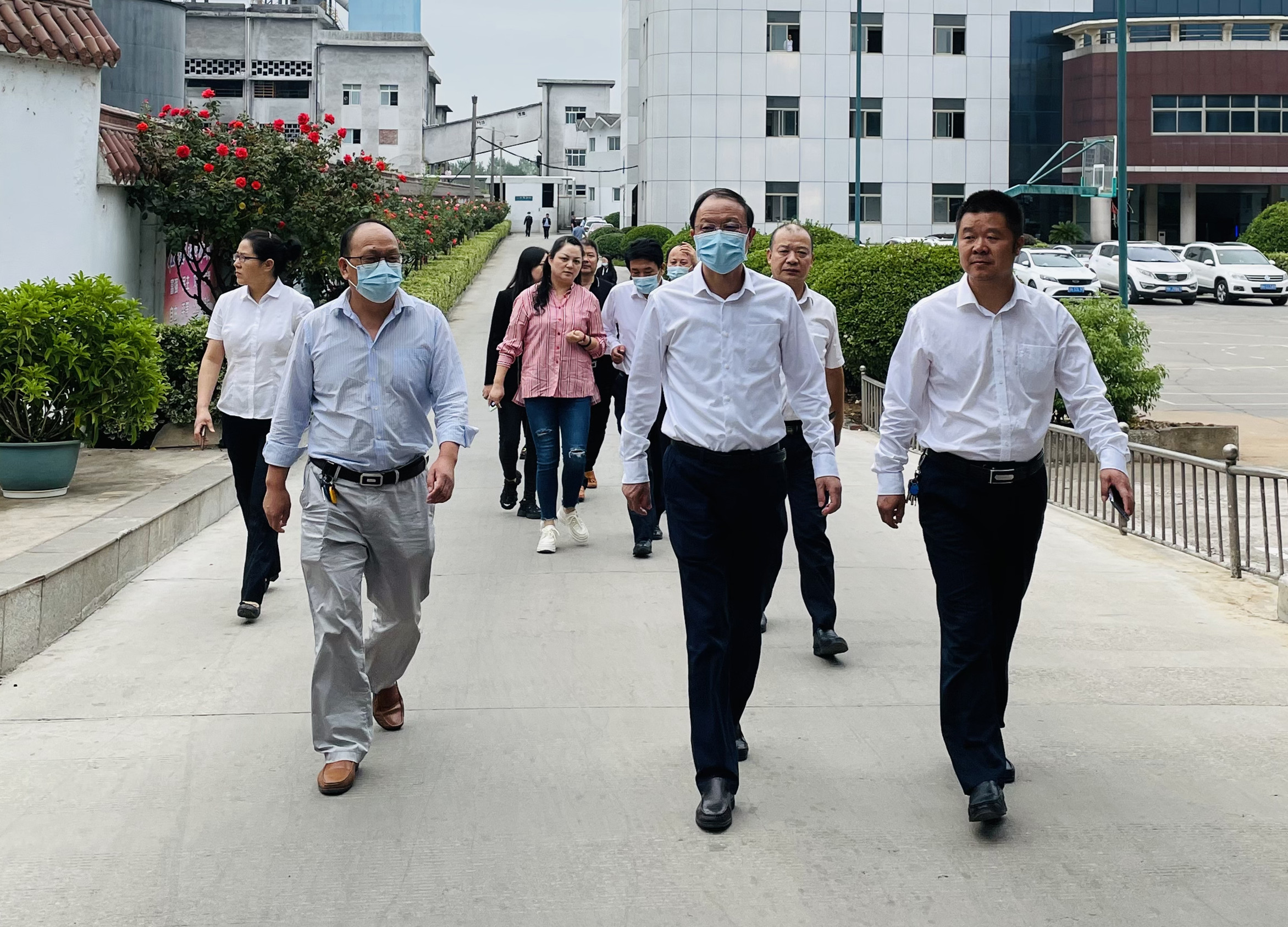 陈刚一行到菠菜担保网红十字协会办公所在旅行.jpg