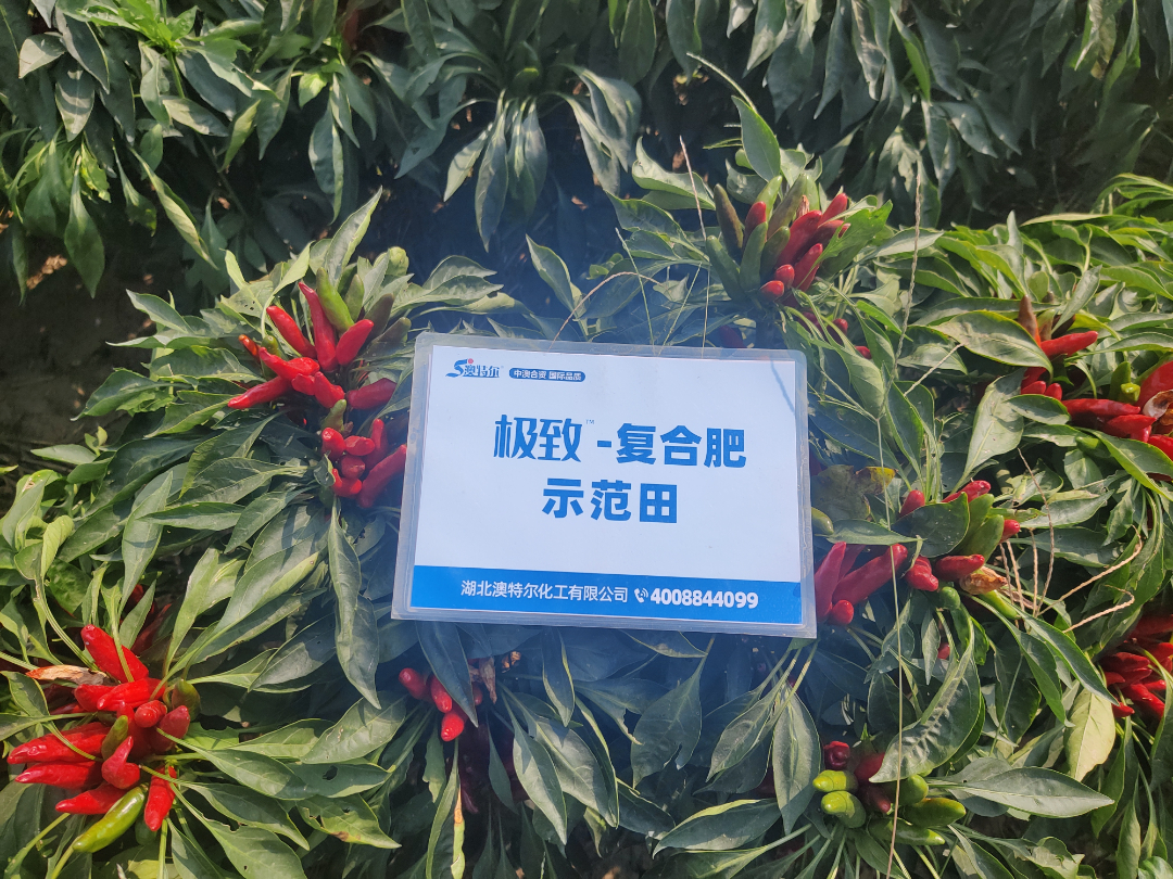 菠菜担保网-最权威的全网担保平台